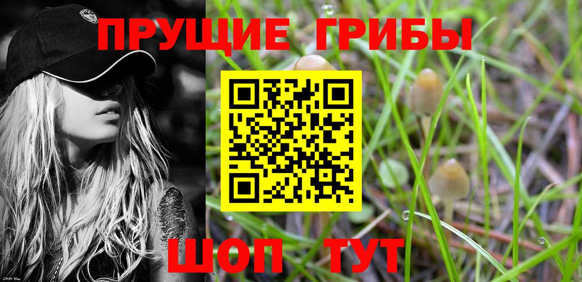 что такое   Вход с VPN  Калуга  Псилоцибиновые грибы прущие грибы 
