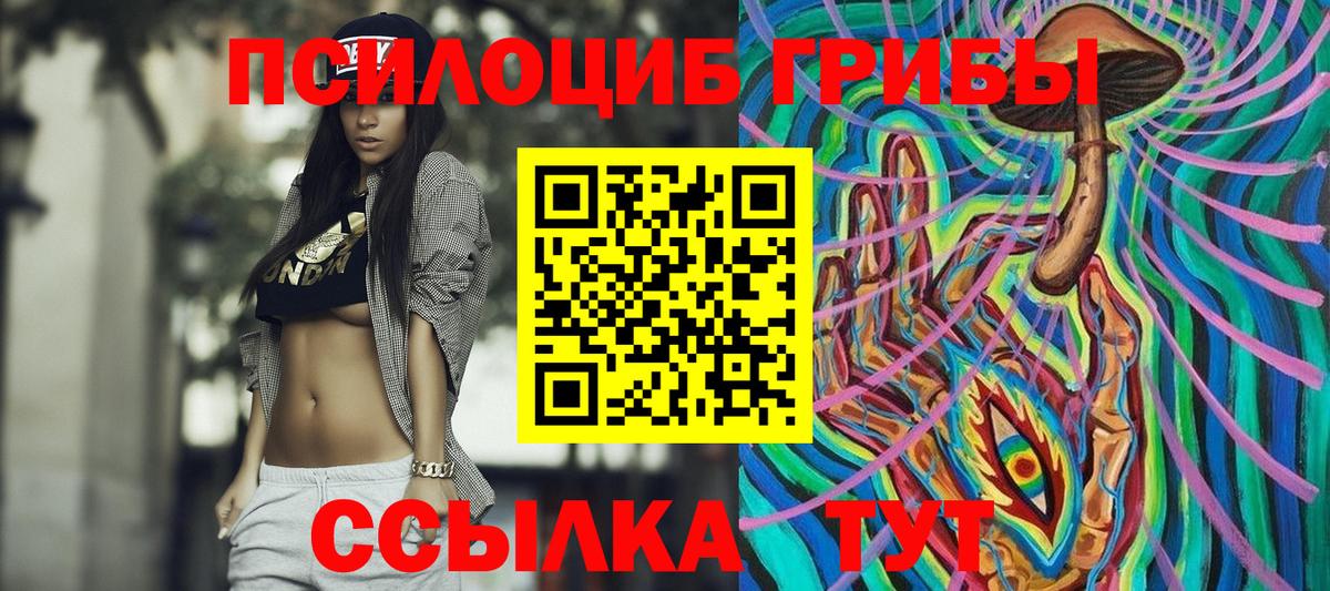 Псилоцибиновые грибы GOLDEN TEACHER Калуга